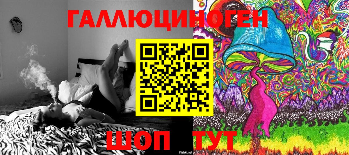 купить наркотик  Вход с VPN  Новоуральск  Галлюциногенные грибы Psilocybe 